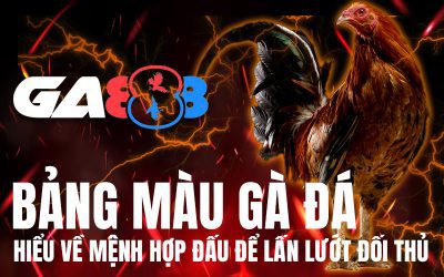 Bảng màu gà đá – Hiểu về mệnh hợp đấu để lấn lướt đối thủ