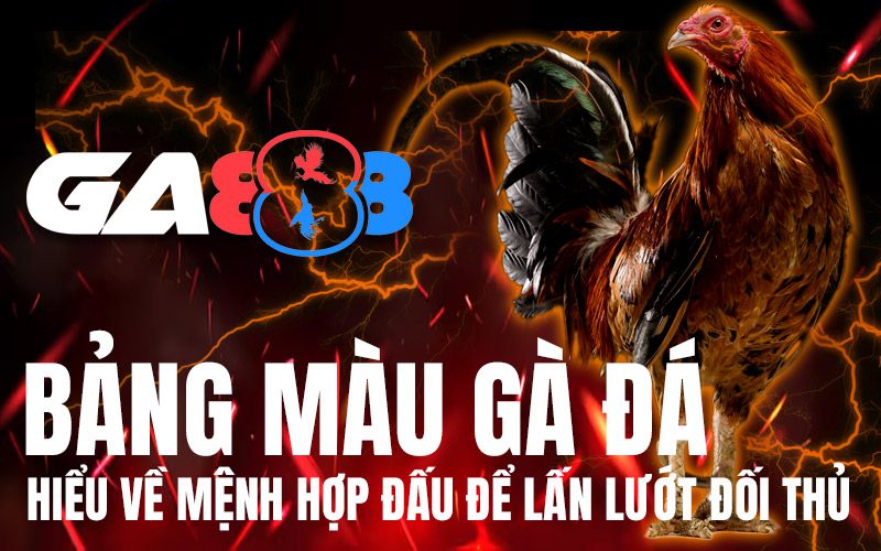 Bảng màu gà đá – Hiểu về mệnh hợp đấu để lấn lướt đối thủ