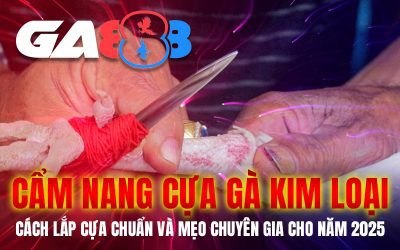 Cẩm nang cựa gà kim loại – Cách lắp cựa chuẩn và mẹo chuyên gia cho năm 2025