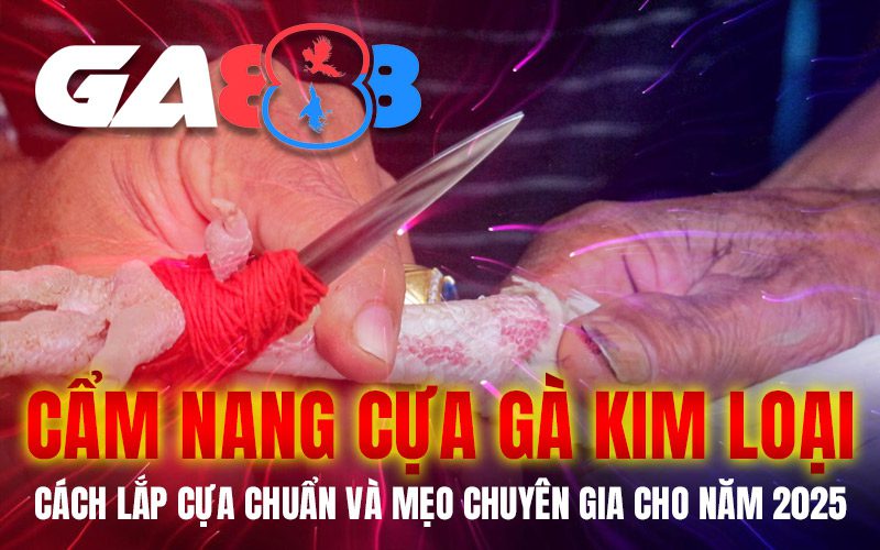Cẩm nang cựa gà kim loại – Cách lắp cựa chuẩn và mẹo chuyên gia cho năm 2025