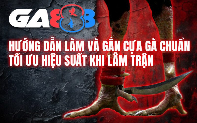 Hướng dẫn làm và gắn cựa gà chuẩn – Tối ưu hiệu suất khi lâm trận