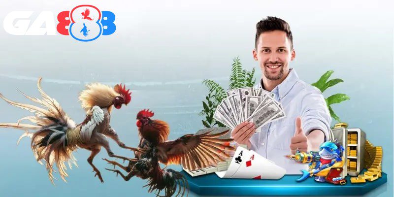 Sân chơi xây dựng hệ thống đặt cược chiến kê hấp dẫn